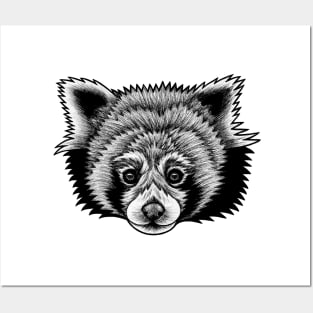 Red panda - ink illustration Posters and Art